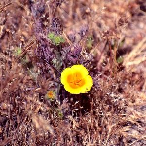 Meet your Posher, Jen